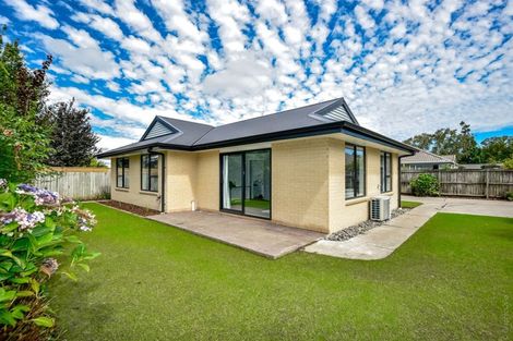 Photo of property in 49 Shannon Place, Belfast, Christchurch, 8051
