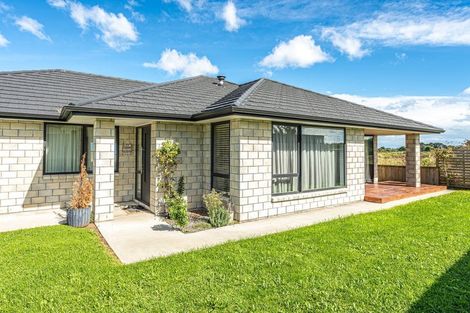 Photo of property in 55 Tawhero Street, Gonville, Whanganui, 4501