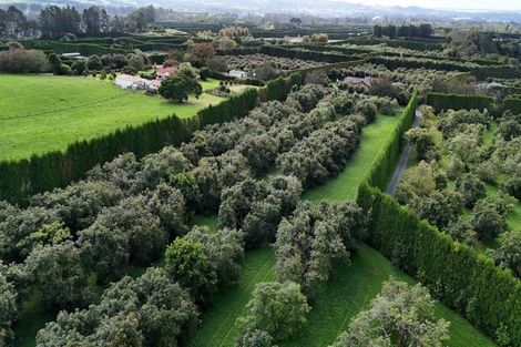 Photo of property in 559b Belk Road, Omanawa, Tauranga, 3171
