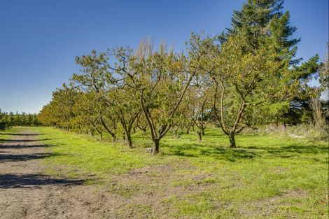 Photo of property in 83 Mount Erin Road, Pukahu, Hastings, 4172