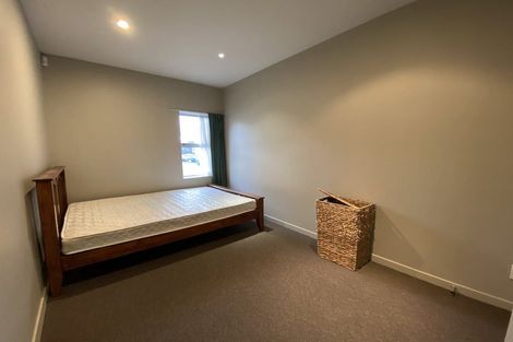 Photo of property in 41u2 Home Street, Mount Victoria, Wellington, 6011