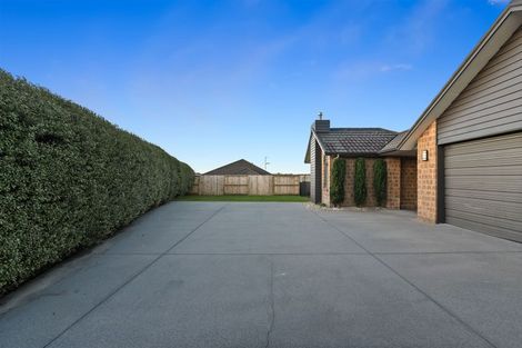 Photo of property in 7 Amberley Place, Flagstaff, Hamilton, 3210