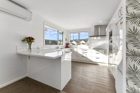 Photo of property in 20 Perriam Place, Mount Pisa, Cromwell, 9383