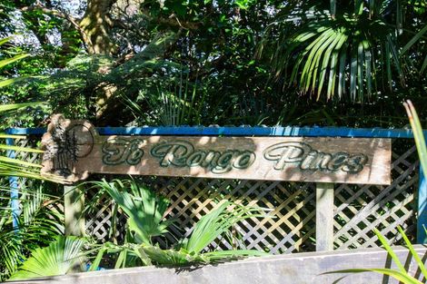 Photo of property in 237 Te Rongo Road, Parua Bay, Whangarei, 0174