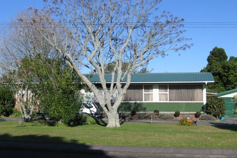 Photo of property in 103 Old Wairoa Road, Papakura, 2110
