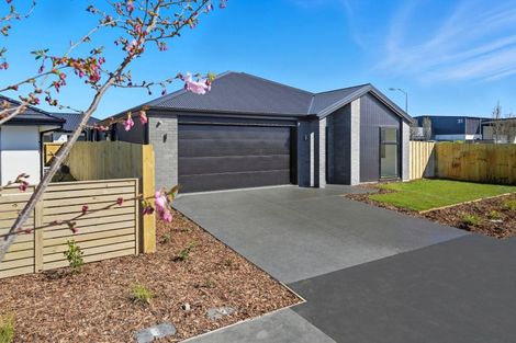 Photo of property in 89 Bill Hammond Drive, Belfast, 8051