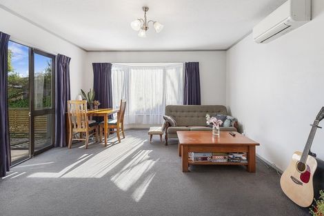 Photo of property in 115f3 Owen Street, Newtown, Wellington, 6021