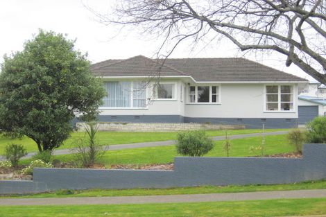 Photo of property in 204 Tiro Tiro Road, Levin, 5510