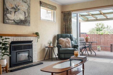 Photo of property in 31 Mckenzie Street, Witherlea, Blenheim, 7201
