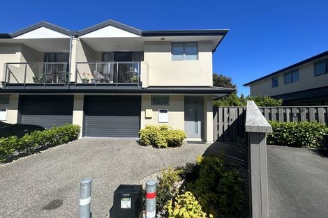 Photo of property in Totara Grove, 41/115 Grove Street, The Wood, Nelson, 7010