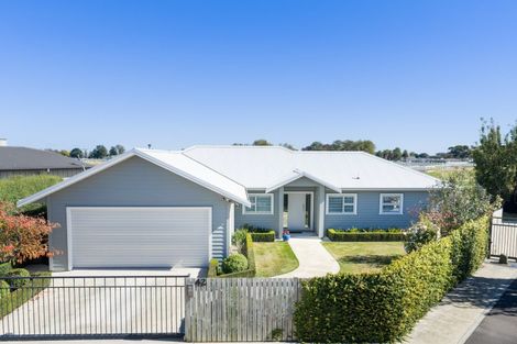 Photo of property in 42 Totara Road, Awapuni, Palmerston North, 4412