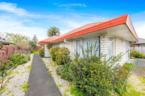 Photo of property in 14 Gadsby Road, Favona, Auckland, 2024