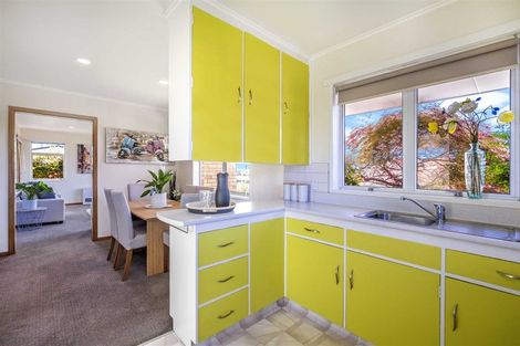 Photo of property in 13 Nelson Street, Hamilton East, Hamilton, 3216