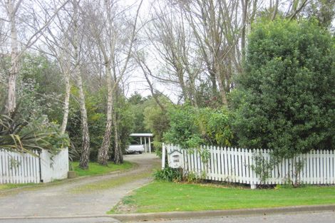 Photo of property in 209 Tiro Tiro Road, Levin, 5510