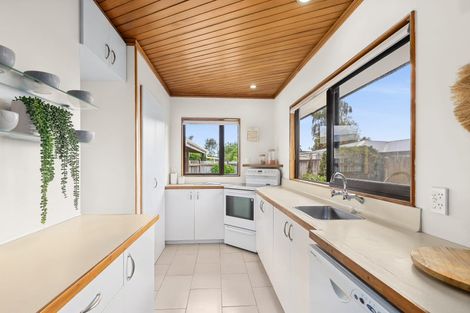 Photo of property in 33a Giblin Street, Richmond, 7020