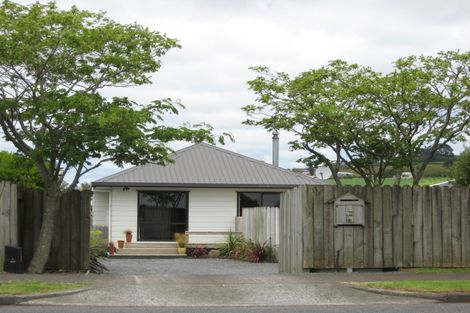 Photo of property in 56 Puni Road, Pukekohe, 2120