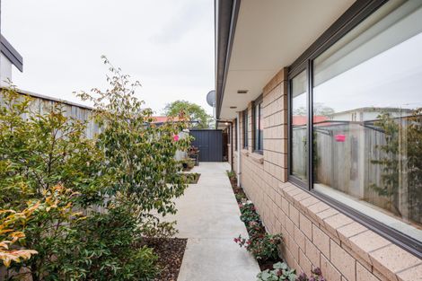 Photo of property in 3/3 Church Street, Terrace End, Palmerston North, 4410