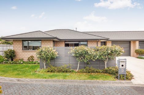 Photo of property in 3/3 Church Street, Terrace End, Palmerston North, 4410
