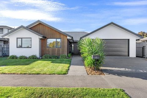 Photo of property in 12 Haughey Drive, Mairehau, Christchurch, 8052