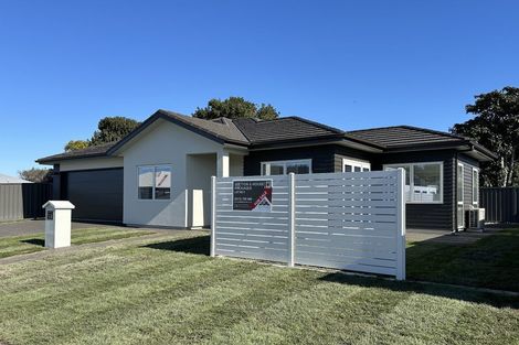 Photo of property in 15 George Yee Place, Taradale, 4112