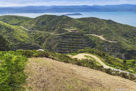 Photo of property in 11 Grumman Lane, Newlands, Wellington, 6037