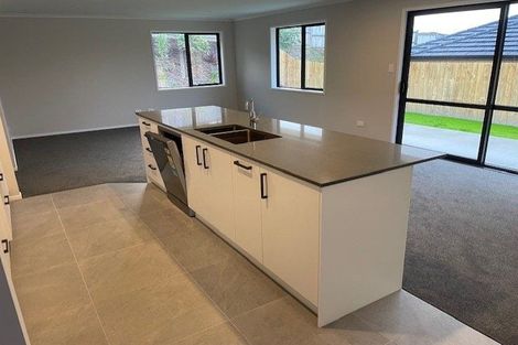 Photo of property in 24 Rongomai Street, Helensville, 0800