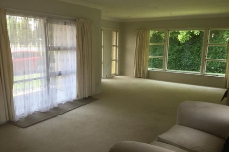 Photo of property in 67 Burwood Road, Matamata, 3400