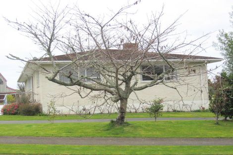 Photo of property in 205 Tiro Tiro Road, Levin, 5510