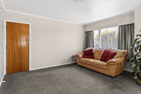 Photo of property in 45 Merton Crescent, Pirimai, Napier, 4112