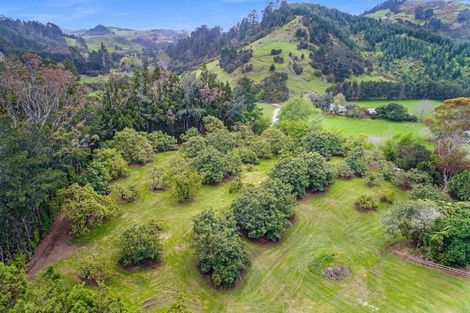 Photo of property in 286a Woodland Road, Tahawai, Katikati, 3170
