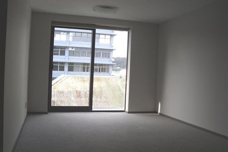 Photo of property in Dual Apartments, 306/142u Vivian Street, Te Aro, Wellington, 6011