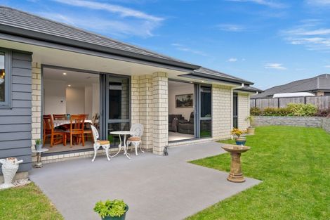 Photo of property in 18 Sycamore Drive, Sunnynook, Auckland, 0620