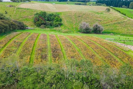 Photo of property in 126 Point Bush Road, Waimate, 7979