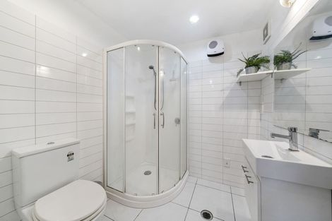 Photo of property in 8u6d Lipman Street, Mount Victoria, Wellington, 6011
