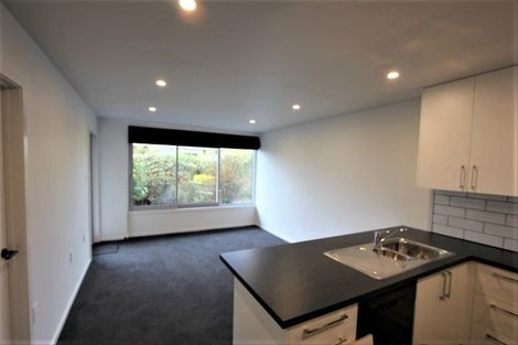 Photo of property in 19a Sheen Street, Roslyn, Dunedin, 9010