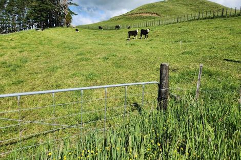 Photo of property in 133 Kaimata Road, Kaimata, Inglewood, 4390