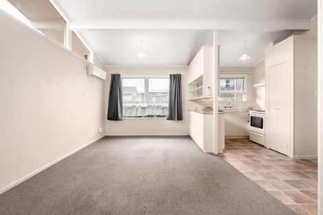 Photo of property in 22b Charlemont Street, Whitiora, Hamilton, 3200