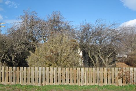 Photo of property in 22 Ortive Street, Cromwell, 9310