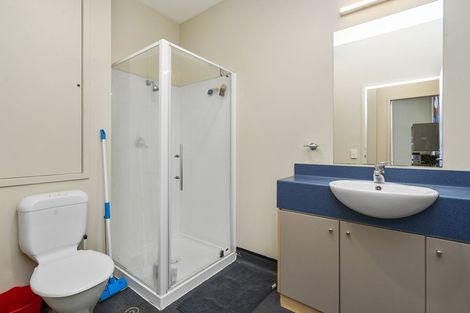 Photo of property in Hanson House, 1a/27 Hanson Street, Mount Cook, Wellington, 6021