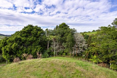 Photo of property in 62 Cornes Road, Raglan, 3296