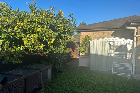 Photo of property in 9 Holland Street, Pukekohe, 2120