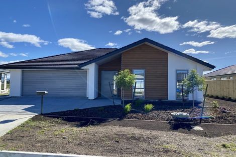 Photo of property in 10 Hanworth Road, Richmond, 7020