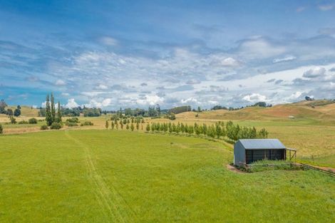 Photo of property in 359 Mangatarata Road, Waipukurau, 4285
