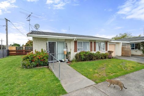 Photo of property in 70b Bannister Street, Masterton, 5810