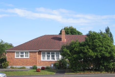 Photo of property in 3150 Great North Road, New Lynn, Auckland, 0600