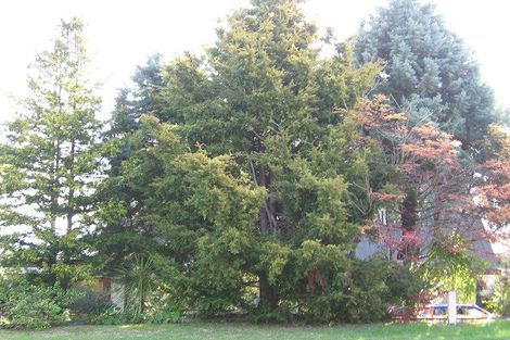 Photo of property in 36a Carlton Street, Bellevue, Tauranga, 3110