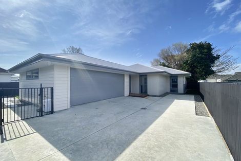 Photo of property in 27a Seddon Street, Takaro, 4412