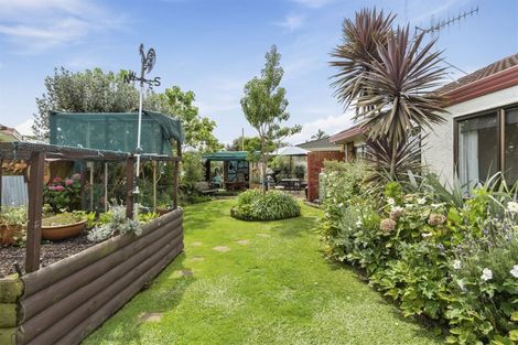 Photo of property in 31b Hibiscus Avenue, Mount Maunganui, 3116