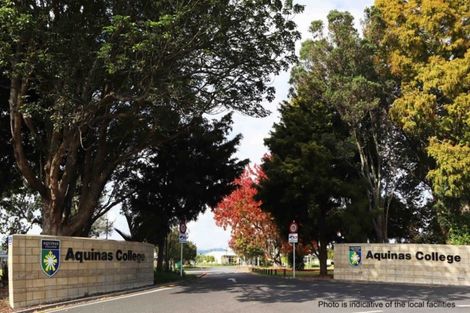 Photo of property in 49r Pyes Pa Road, Pyes Pa, Tauranga, 3112