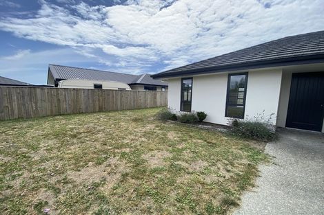 Photo of property in 17 Feltham Street, Richmond, 7020